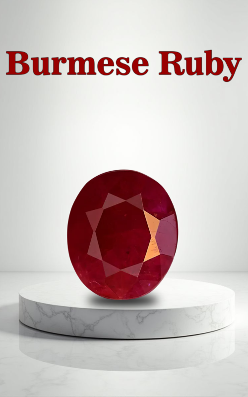 Burmese Ruby33