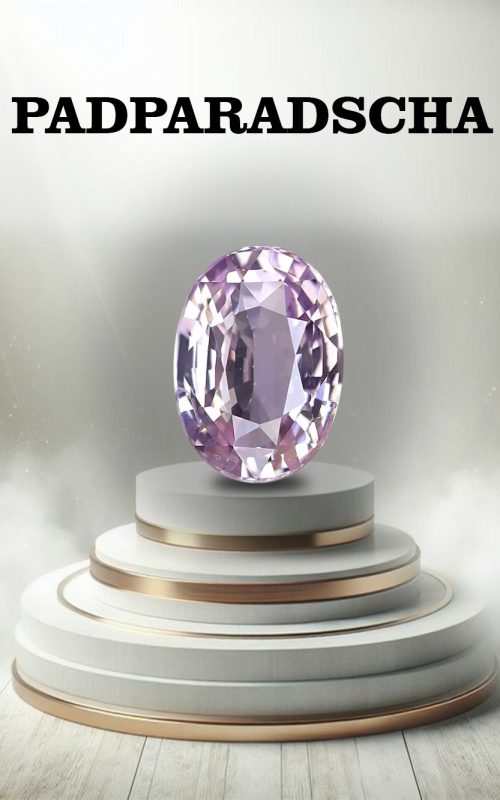 WhatsApp Image 2025-07-24 at 16.53.54_98ff6915