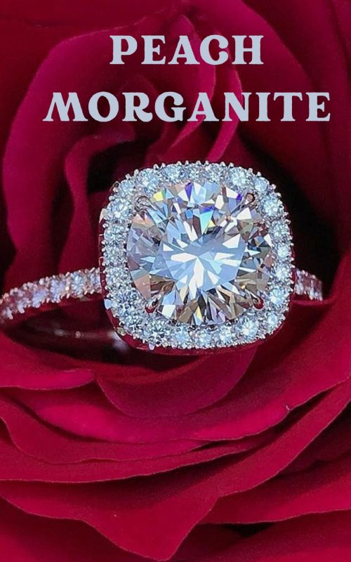 WhatsApp Image 2025-07-28 at 15.27.17_f3f85ef1