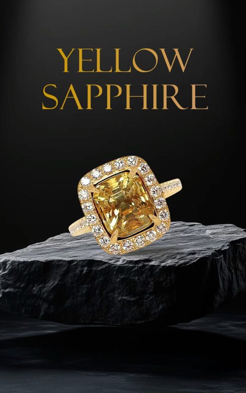 WhatsApp Image 2025-08-01 at 16.50.15_9ca22db1