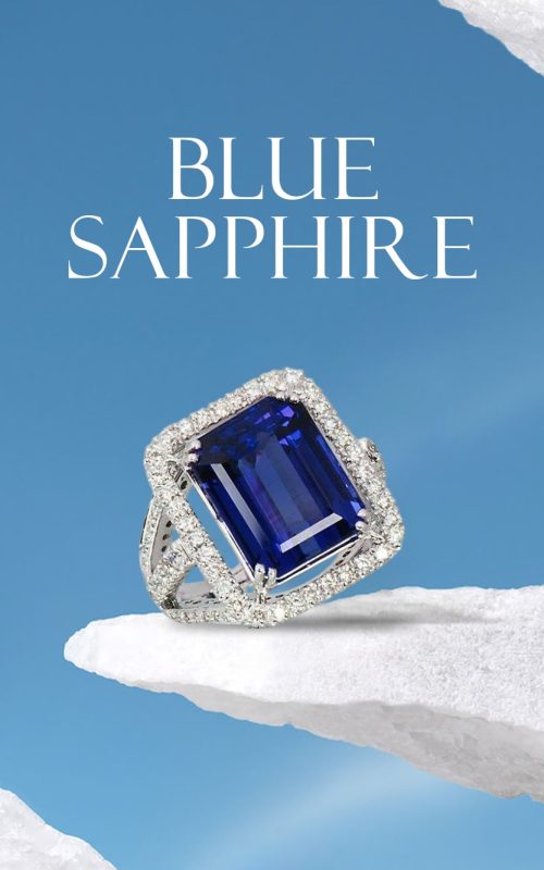 WhatsApp Image 2025-08-01 at 16.50.15_ced31ce3