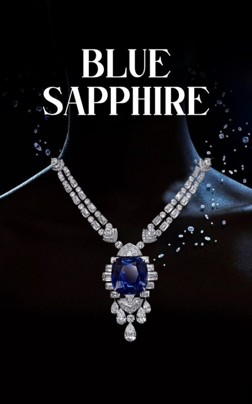 WhatsApp Image 2025-08-02 at 15.19.12_c65da04e